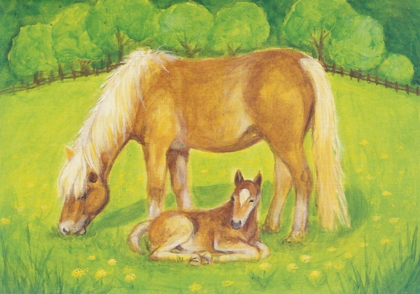 Postkarte - Stute mit Fohlen