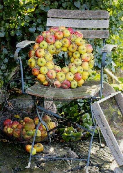 Postkarte* Apfelkranz Herbst