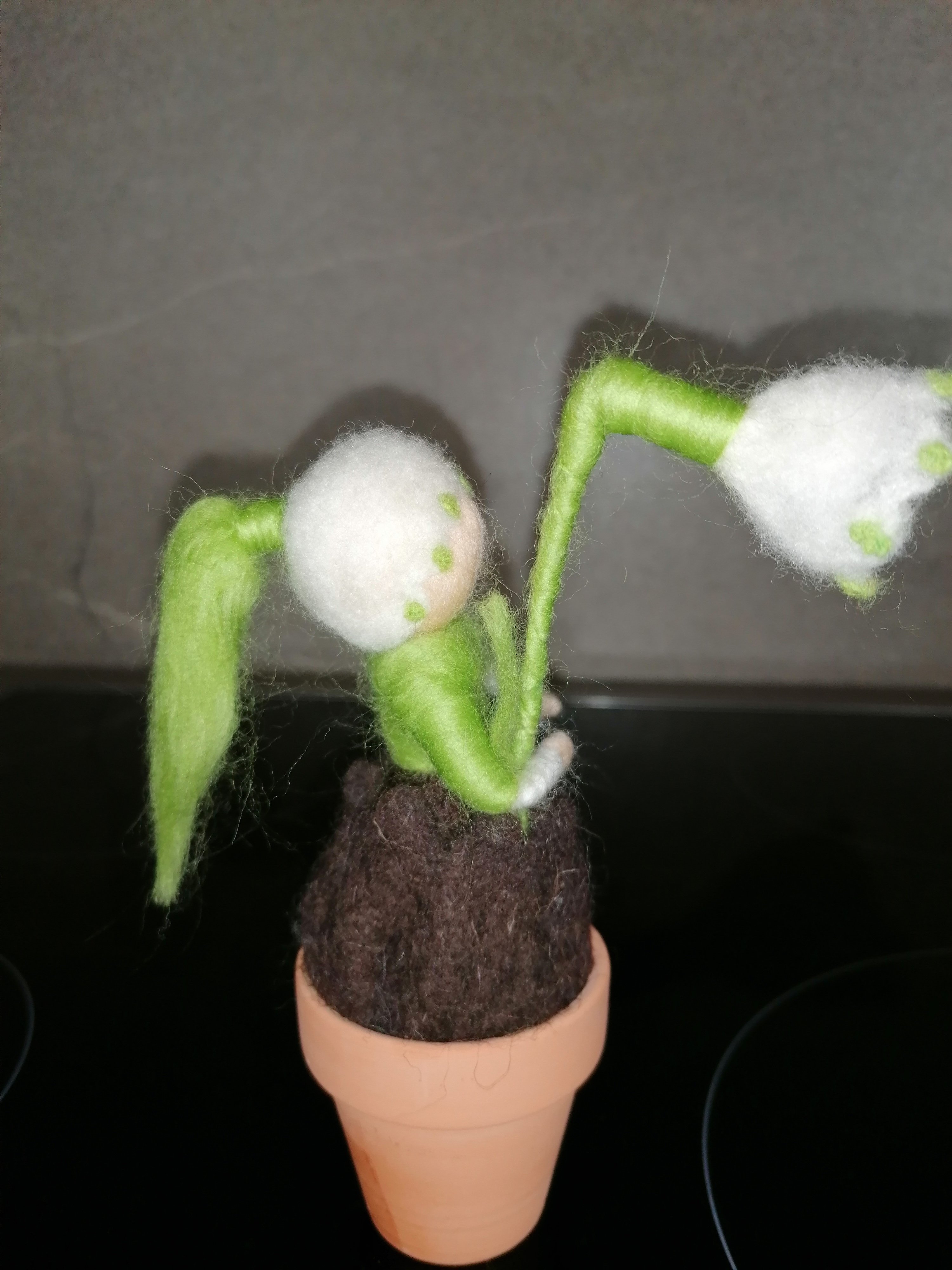 Blumenzwiebelkinder Blumenzwiebelkinder