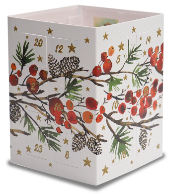 Leuchtender Adventskalender Zweige