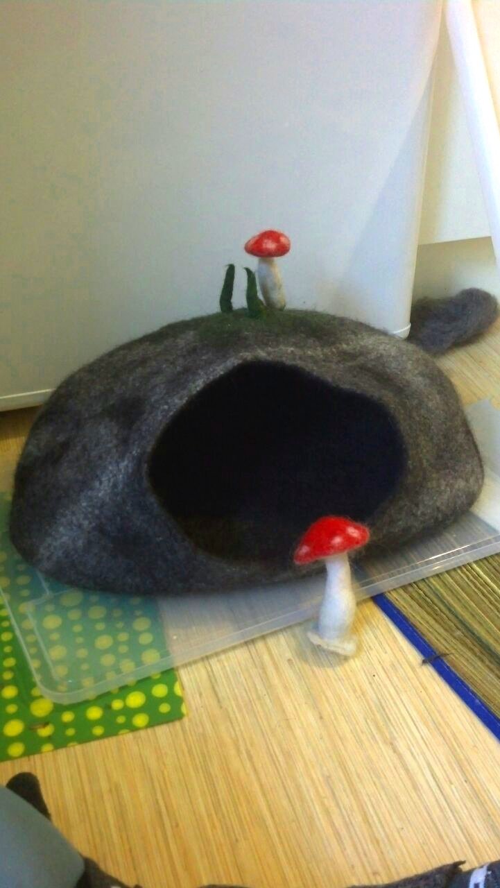 Katzenhöhle