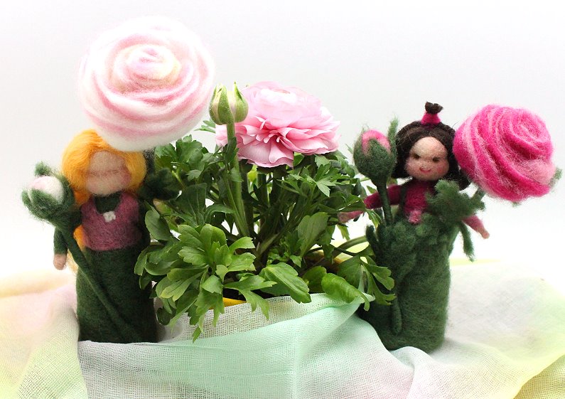Blumen Blumen