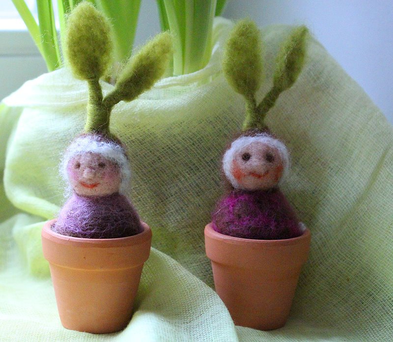 Blumen Blumen