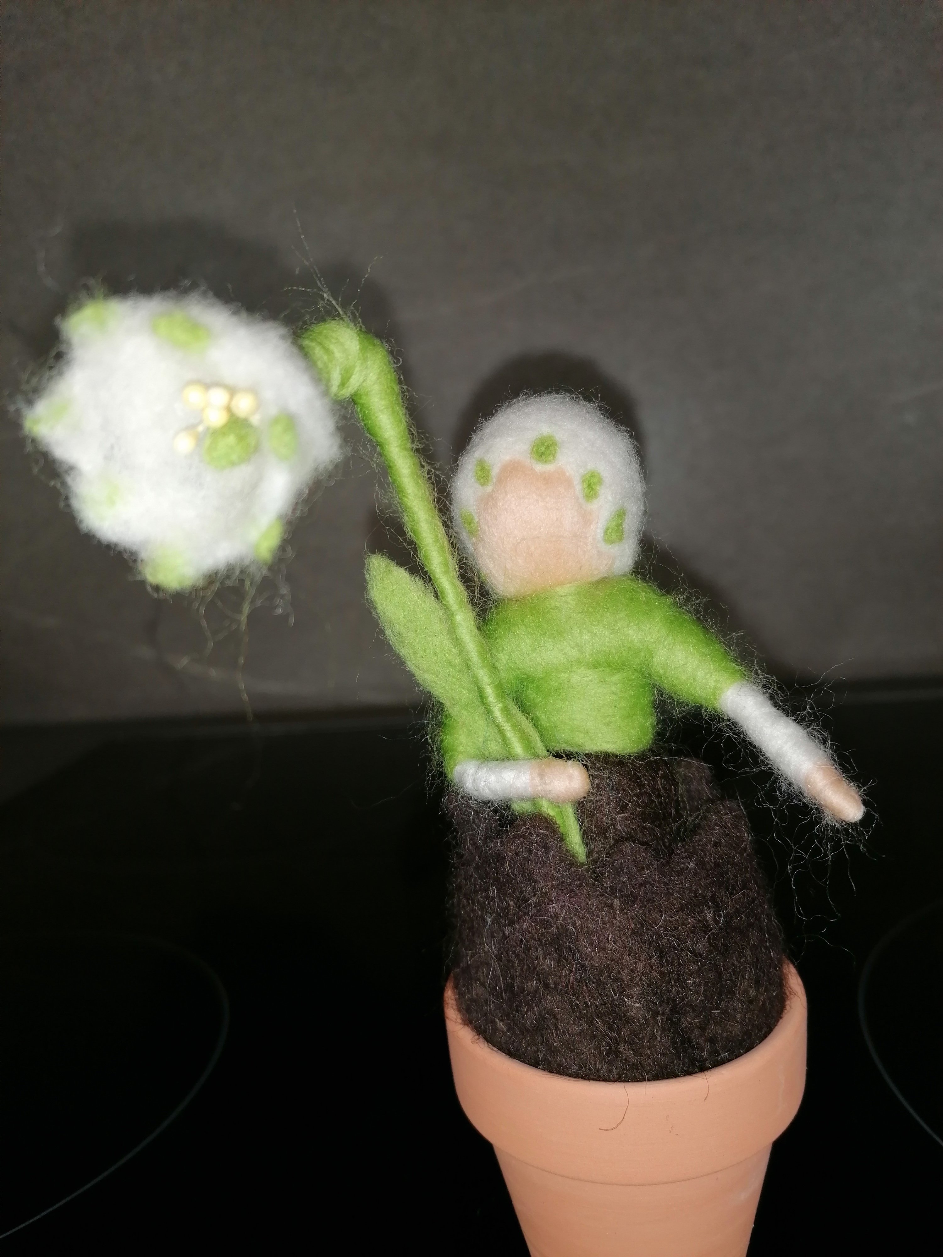 Blumenzwiebelkinder Blumenzwiebelkinder