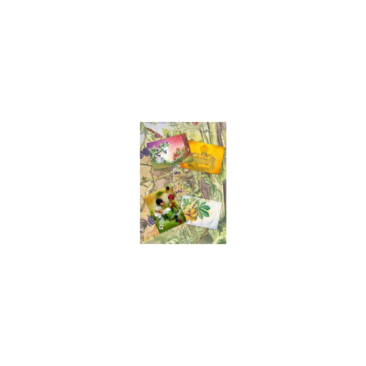 Postkartenset "Früchte" mit 5 Karten