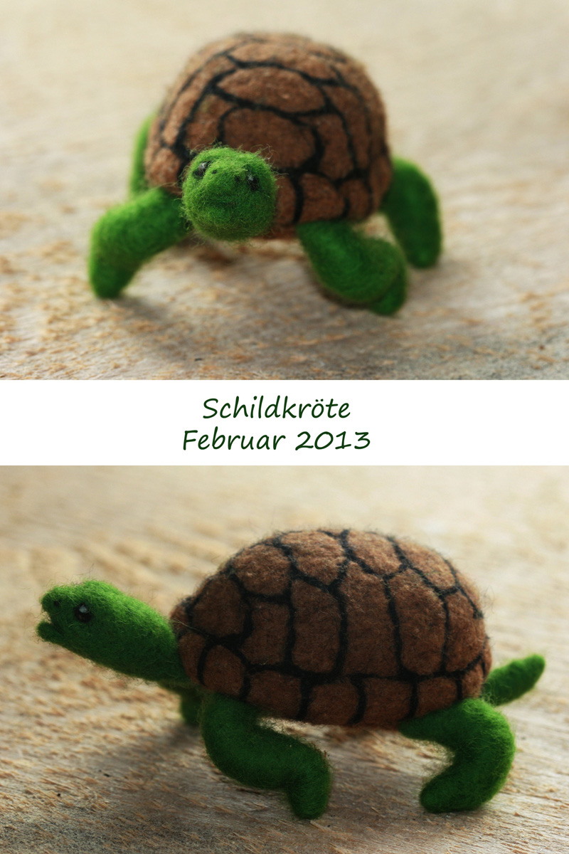 Schildkröte