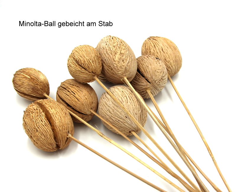 Schatzkiste -