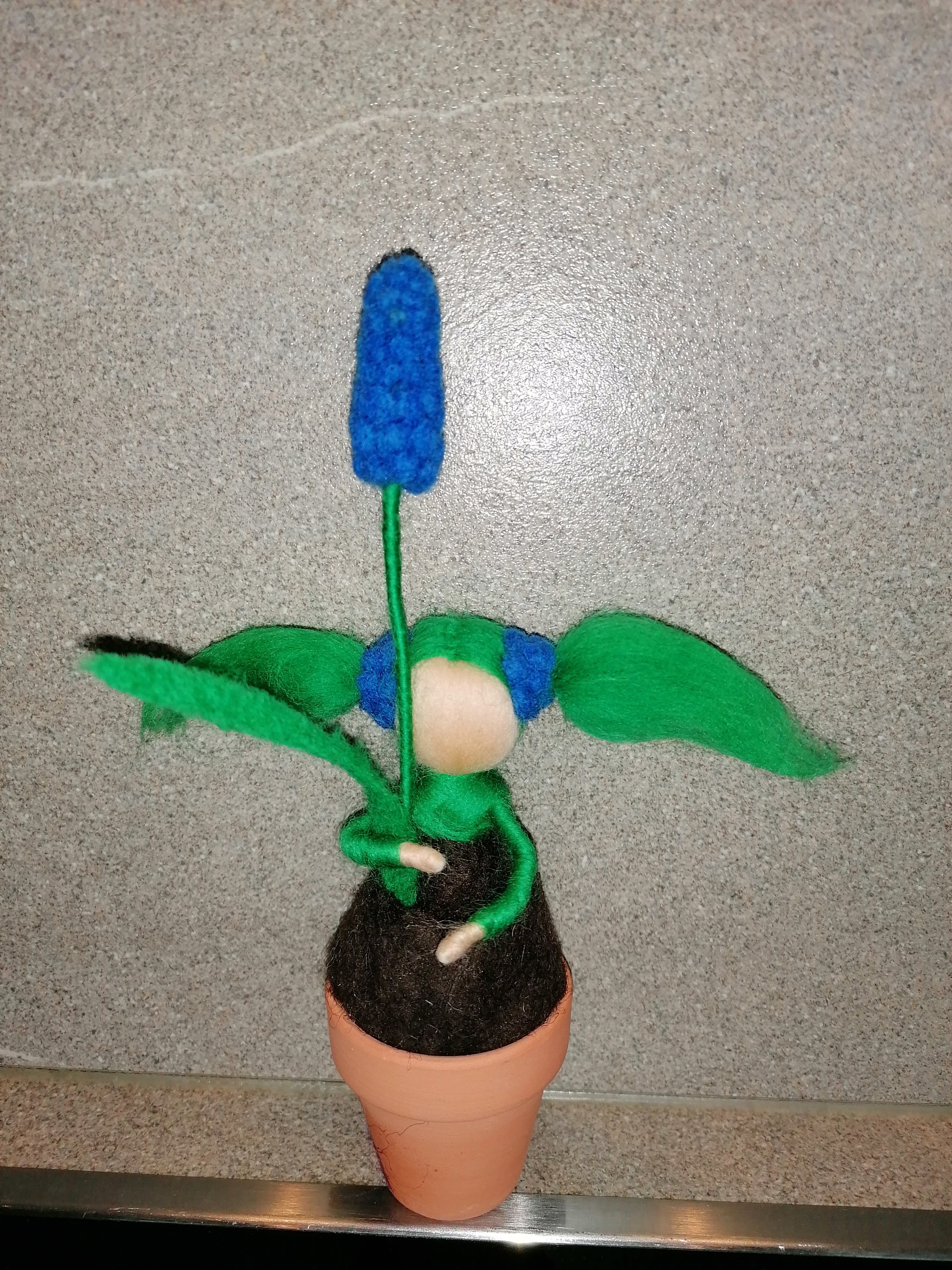Blumenzwiebelkinder Blumenzwiebelkinder