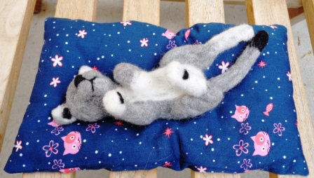 Für Katzenfreunde