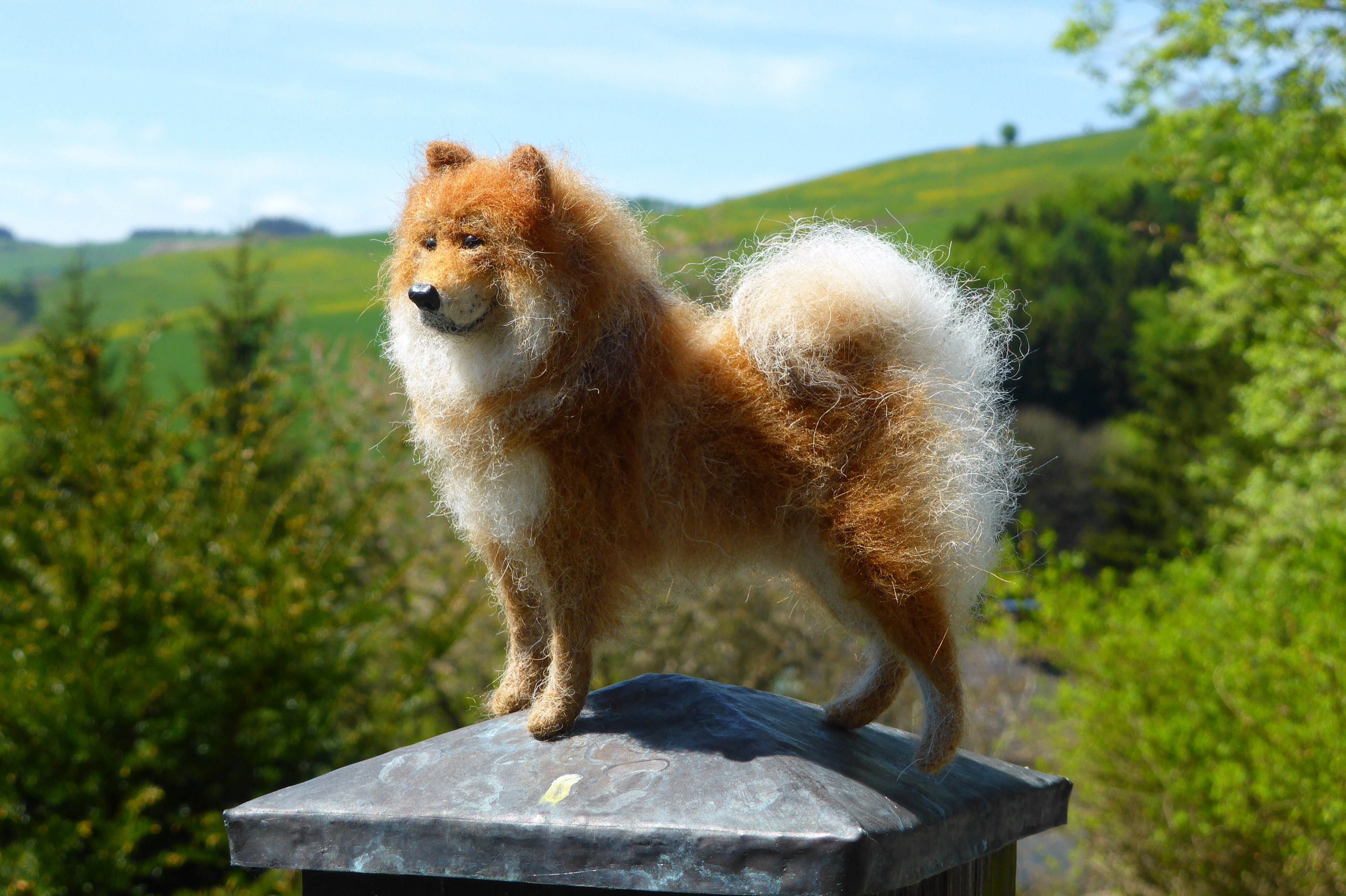 Miniatur-Eurasier