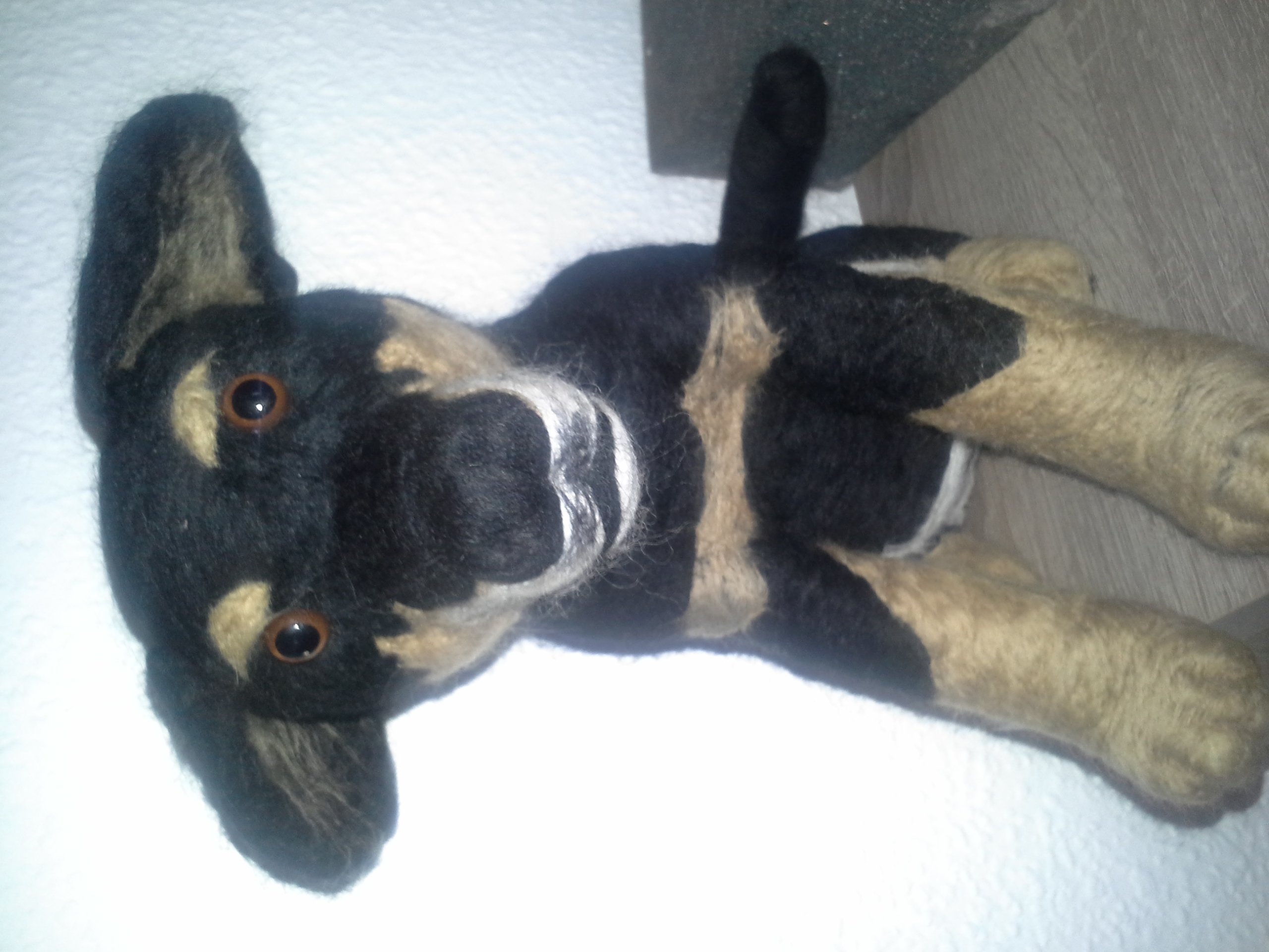 Mein zweiter Versuch eines Hundes