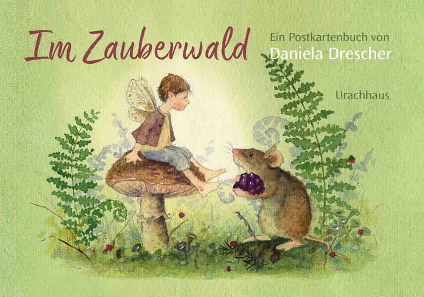 Postkartenbuch »Im Zauberwald« 