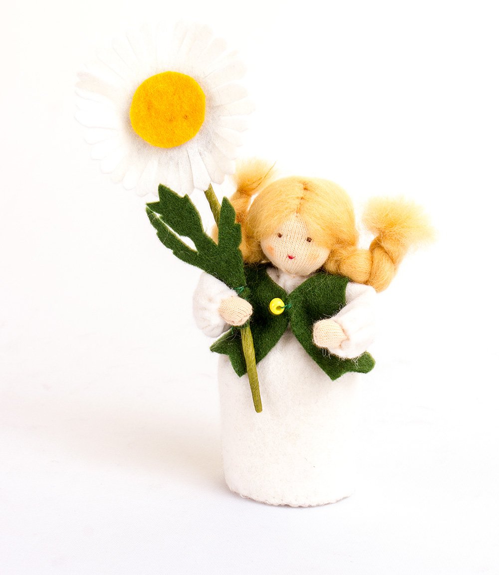 Bastelpackung Margerite von Augenweide