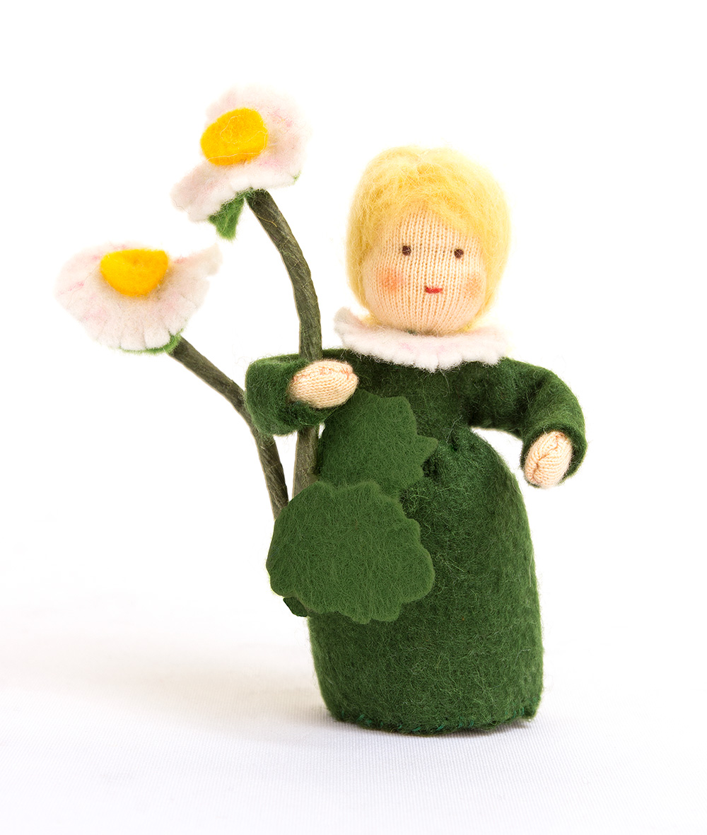 Bastelpackung Gänseblümchen von Augenweide Bastelpackung Gänseblümchen von Augenweide