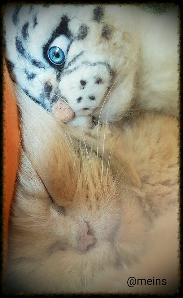 Schneeleopard zum Kuscheln