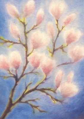 Postkarte Erika Hoffmann Magnolien