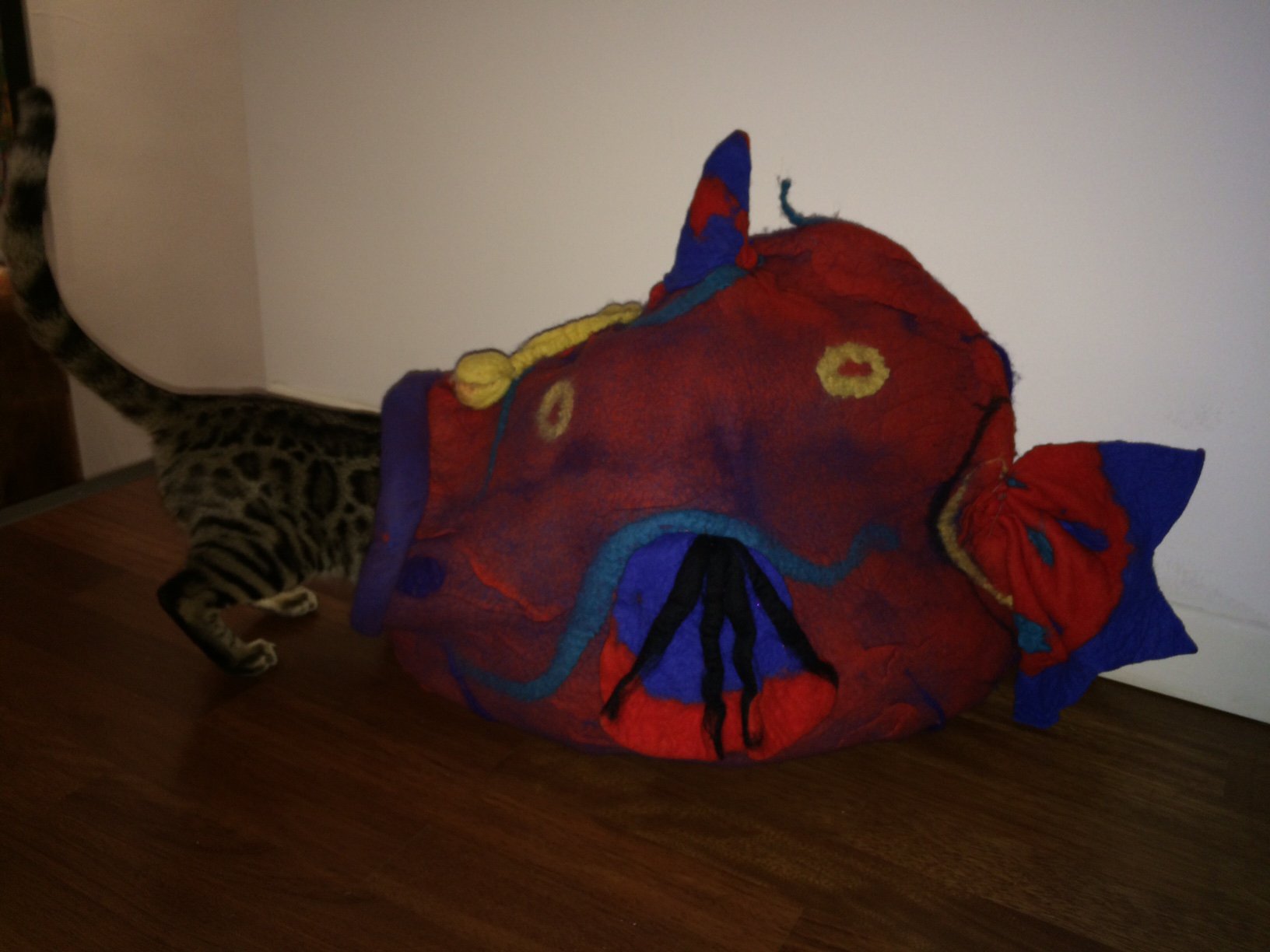 Fisch-Katzenhöhle Fisch-Katzenhöhle